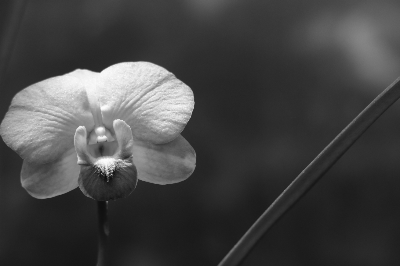 2016 06 02 HTP 0572